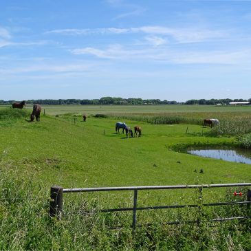 Noordpolder (Hoogeland)
